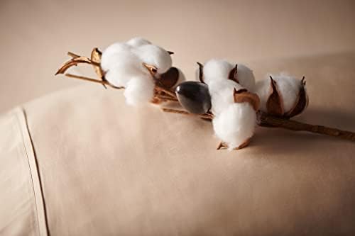 Weddingly CEA Certified Giza Egyptian Cotton Sheet Set