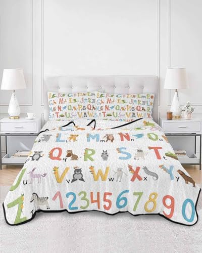 Stongaro Quilt Twin XL Kids Alphabet Comforter Set 3 Pieces