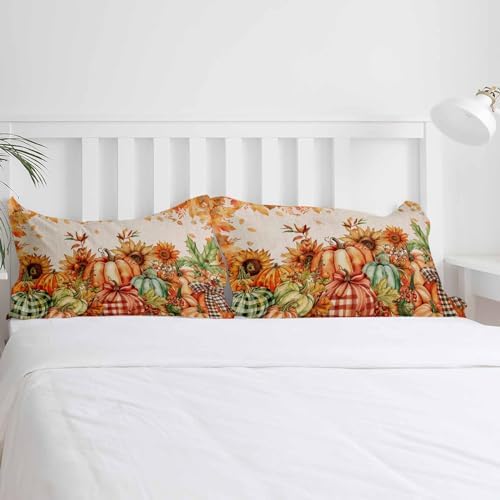 OComster California King Duvet Cover Set with Pillow Shams