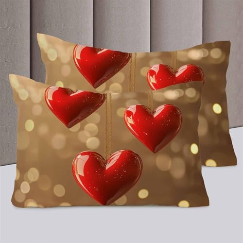 ZOE GARDEN Valentines Day Bed Duvet Cover Set 3 Piece