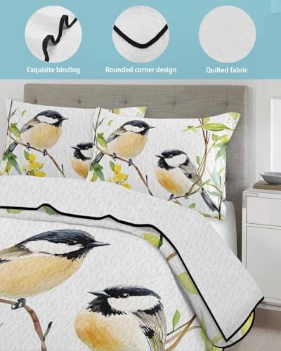 Chucoco Twin XL Quilt Bedding Set with Soft Coverlet and Pillow Shams