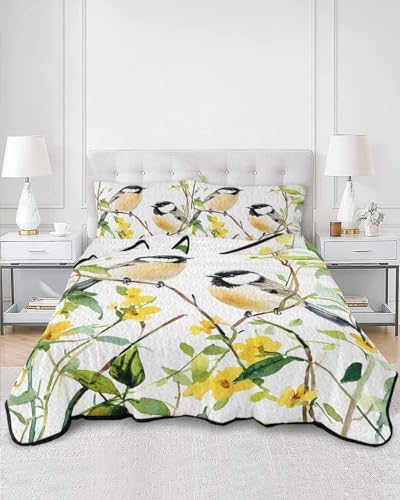 Chucoco Twin XL Quilt Bedding Set with Soft Coverlet and Pillow Shams