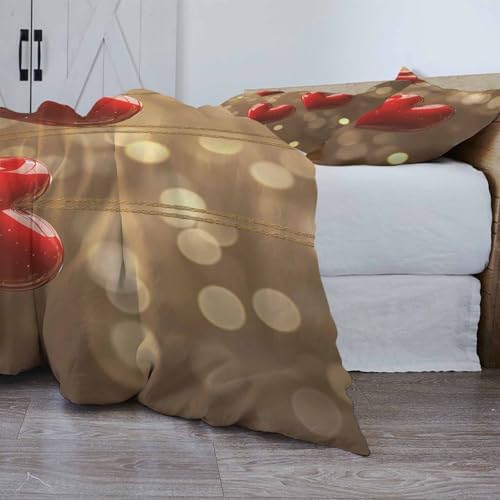 ZOE GARDEN Valentines Day Bed Duvet Cover Set 3 Piece