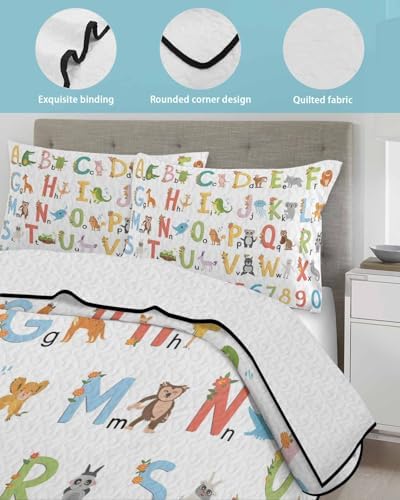Stongaro Quilt Twin XL Kids Alphabet Comforter Set 3 Pieces