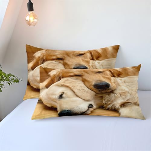 3D Animal Bedding Set King Size Golden Retriever