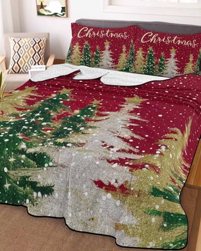 Chucoco Twin XL Quilt Set with Pillow Shams 1