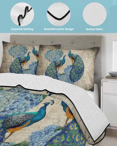 TocaHome Summer Quilt Set Twin XL 68x98 Inch with 2 Pillowcases