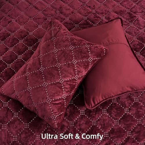 PHF Wine Red Velvet Quilt Set Twin Size