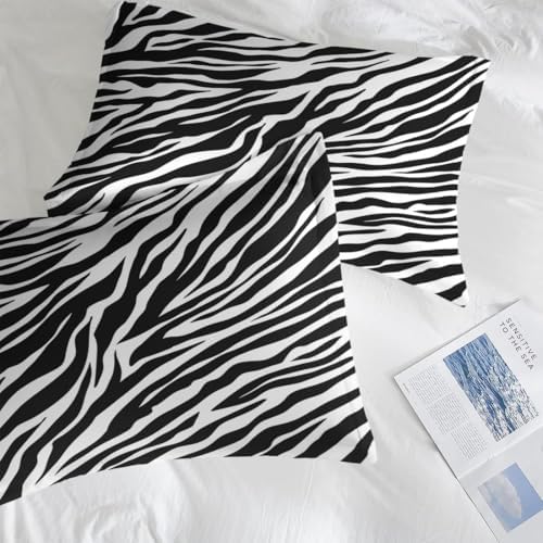 Pamnest Zebra Stripe Queen Comforter Set 3 Pcs