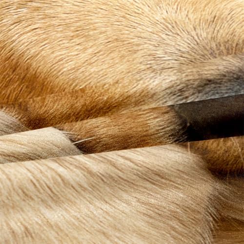 3D Animal Bedding Set King Size Golden Retriever