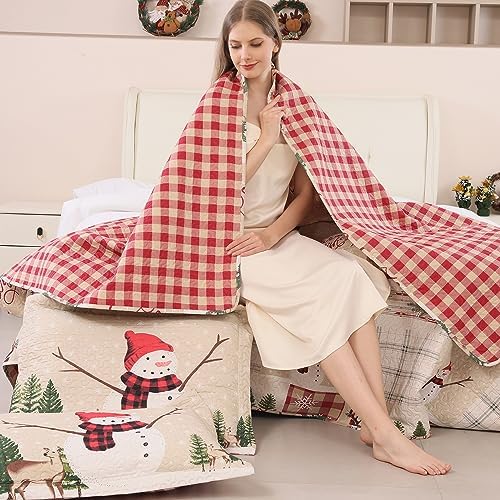 Jessy Home Christmas Quilt Set Twin Size
