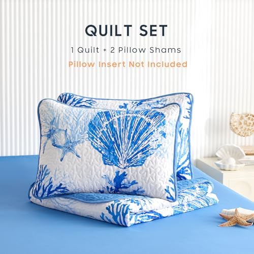 Wake In Cloud Coastal Quilt Set Nautical Themed 3 Piece TwinTwin XL