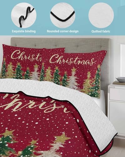 Chucoco Twin XL Quilt Set with Pillow Shams 1