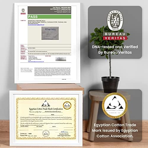 Weddingly CEA Certified Giza Egyptian Cotton Sheet Set