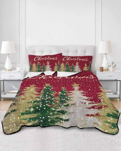 Chucoco Twin XL Quilt Set with Pillow Shams 1