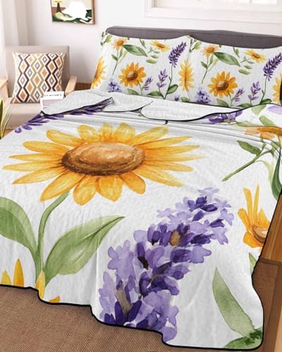 Chucoco Twin XL Quilt Bedding Set Watercolor Pattern