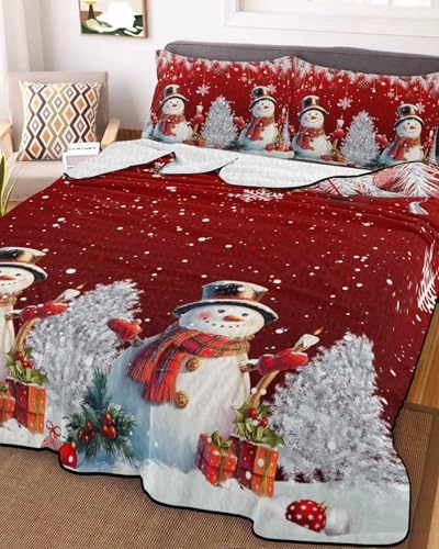 Chucoco Twin XL Quilt Bedding Set with 2 Pillow Shams 1