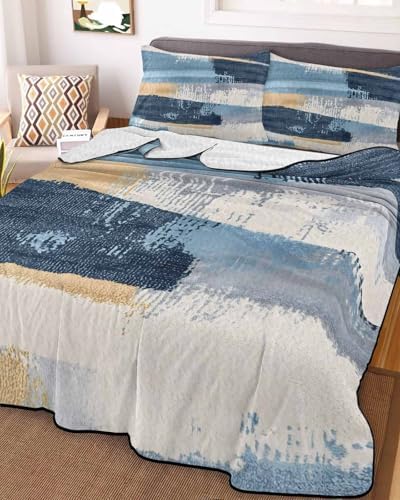 Chucoco Twin XL Quilt Bedding Set with 2 Pillow Shams