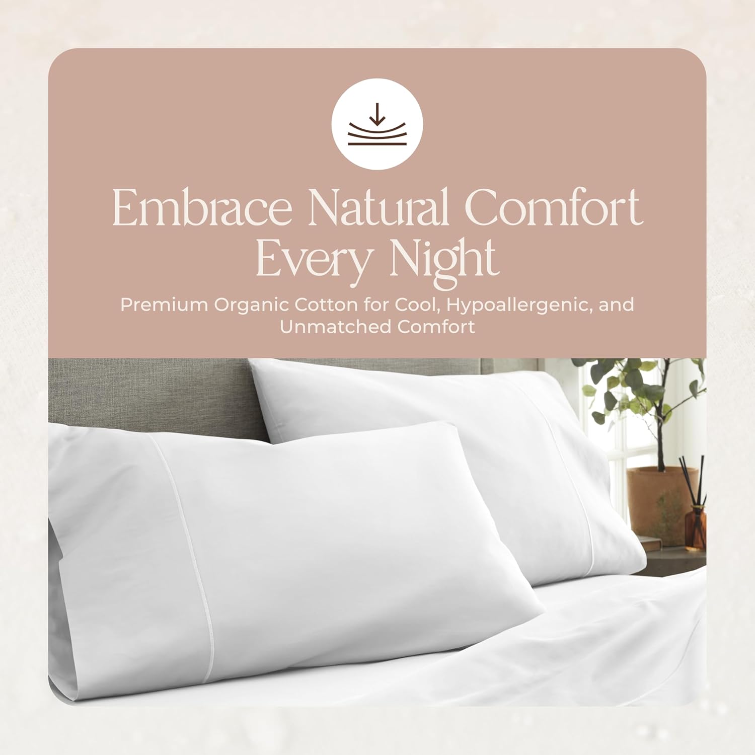 Whisper Organics 100 Organic Cotton Twin Sheets Set