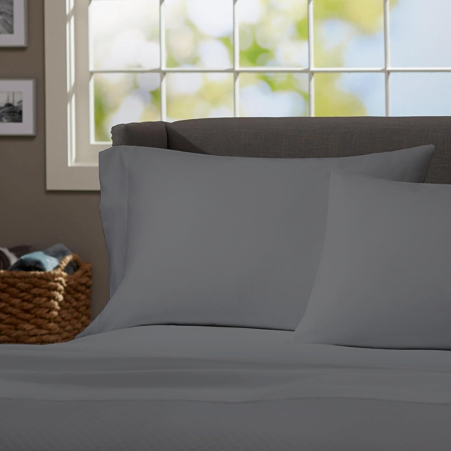 100 Cotton Jersey Twin XL Fitted Sheet Set - Grey